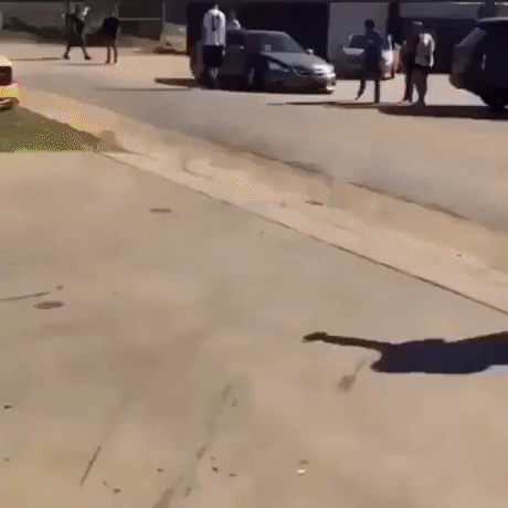 -автомобили-5496204