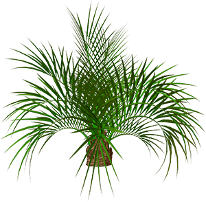 %D0%91%D0%B5%D0%B7%20%D0%B8%D0%BC%D0%B5%D0%BD%D0%B8-1