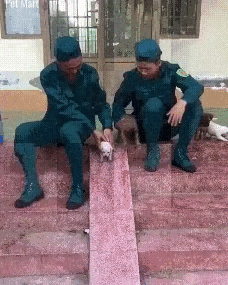 ezgif-3-1702bd460c07