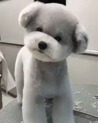 81bcdf5ee1da623e0c677d3b8674ee8a_273238_1567143501