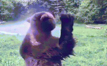 3c702481fe57442ec209669dda9f4e9b_342249_1571529844