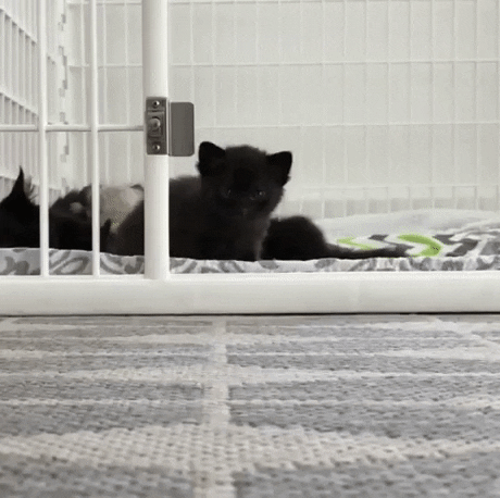 1571142319186298637_1