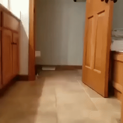 ezgif-5-4e3fbcf15277