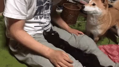 1d57983c117404ff8bcd8a549b6e87dd_273238_1566192125