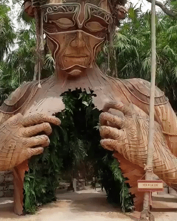 -лес-Природа-гифки-5516456