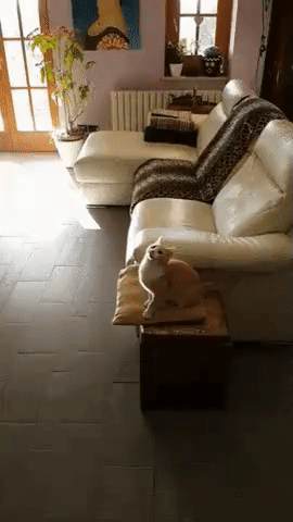 0b5e643e110124d69d9cb1d5a5bf4204_273238_1566798198