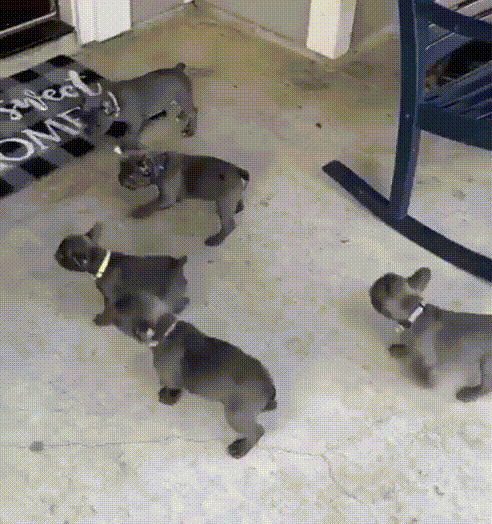 9e6ee64bf915e7fe00e2769d1ae4059a_273238_1566974026