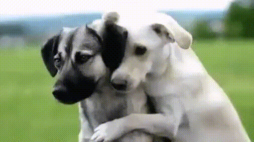 155f5e95f81cae814a1b3eecc752abbd_273238_1569905004