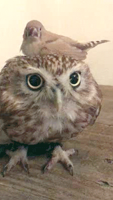 512044cbb1a1db7dd2513963ae8b5666_273238_1565761472