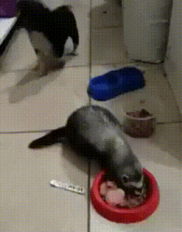 f36048972d58bb347c66b3d3512d6821_273238_1568098038