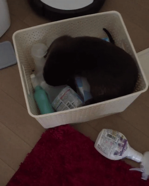 11ee95d185c19d07f58382870ad8b7bc_273238_1502013293