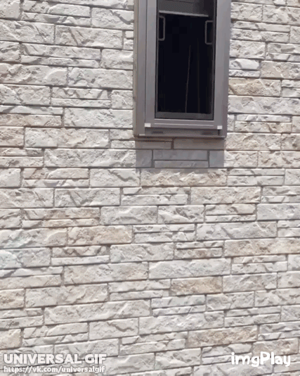 Samaya_milaya_okhrana_ot_vorov