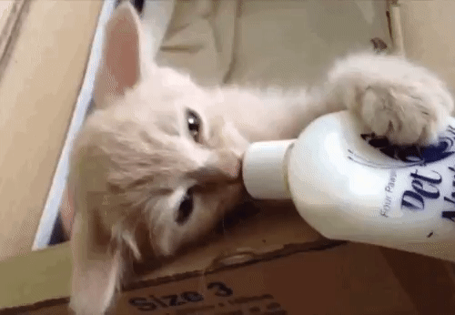 28de97edf43199a26b4e1b505eeb788a_273238_1501910734