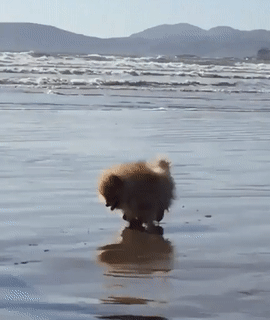 d1c82dfd8da4c9db6410ab3d23ed078f_273238_1501927812