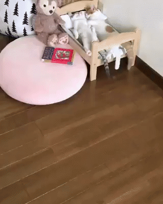 2093c21a36763c086a56d088d128a498_273238_1502346684