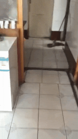 98ccdd31682d1aadafb270ef3f18254e_342249_1572734760