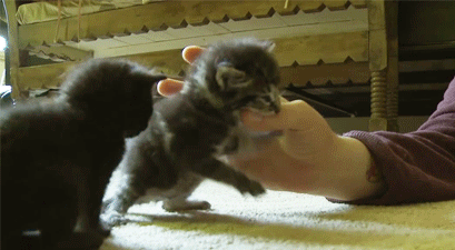 86210e744265e85016cb90ed60910abe_192286_1572940699