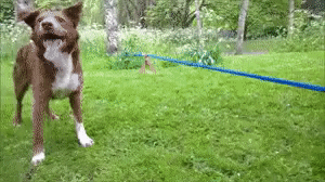 6e9631b4b7444a2de4a68981e9598d1b_273238_1502689593