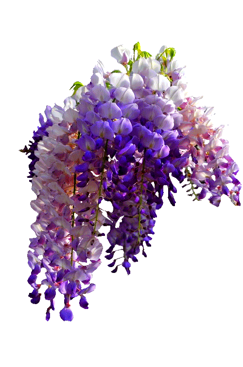 0_eedcf_51c4f8c4_XL