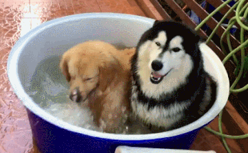 8780568e41517213fd997298ca21c1dd_342249_1573077446