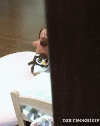 222d404f233d816b00cf5ccce2273166_342249_1573077489