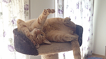 Otkrytka_iz_Galerei_pozdravneny