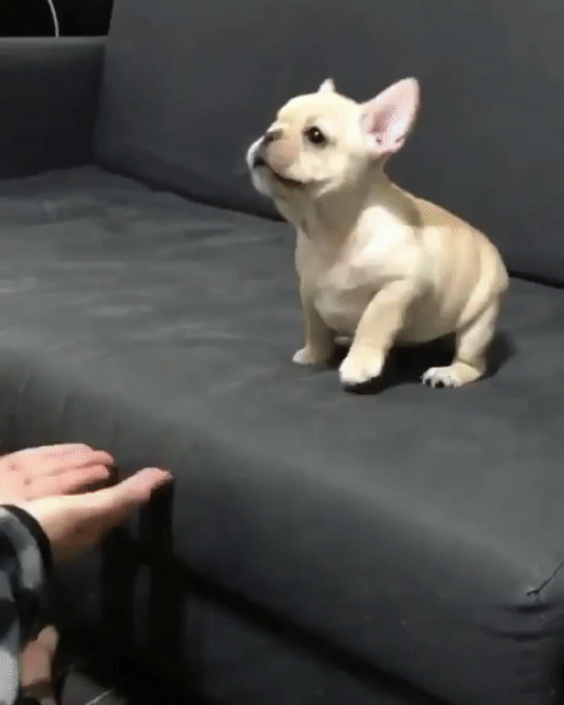 f1a290342da782c0e7f3a7862c3a7d05_273238_1502476558