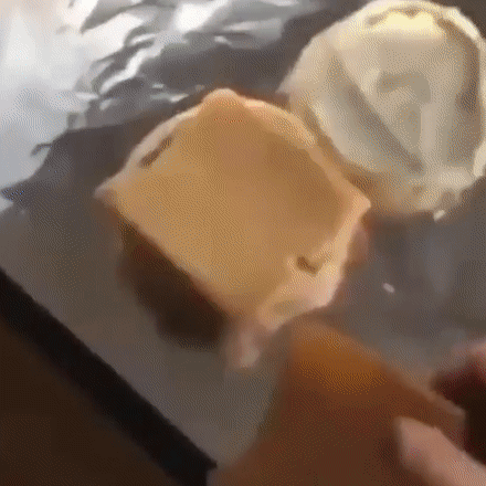 -собака-кот-сыр-5553670