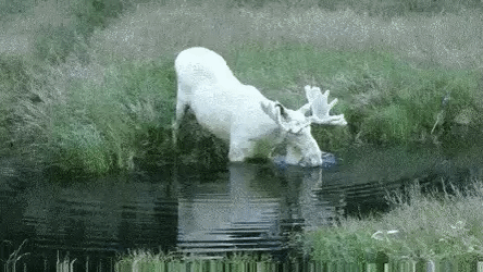 09fc81fa9a57dabc390c3ba351e18233_273238_1502782862