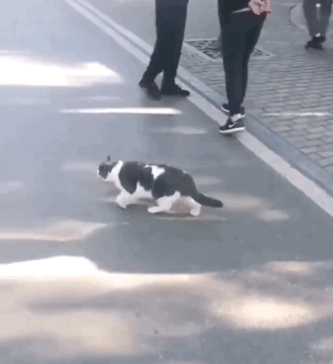 25B55E1E-D1A9-4345-9A84-7F27615DFBB0