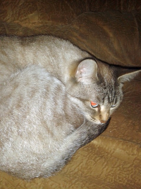 20191026_003546