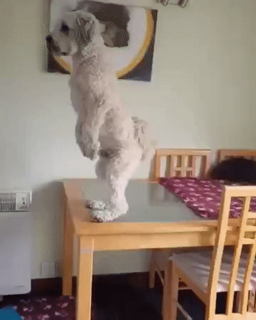 4a159f547381b5a2448c5c3da12b656d_353557_1573930842