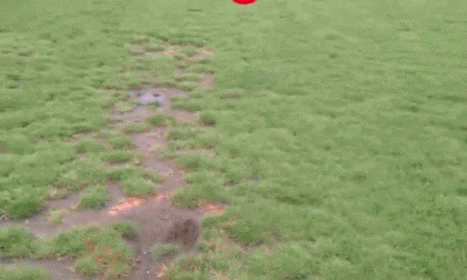 https__vk_com_gif_portal