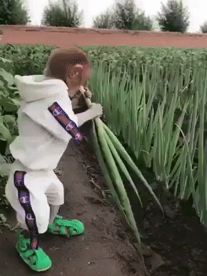 fb321c1bd5636a86554afe608f8886de_280781_1506933507