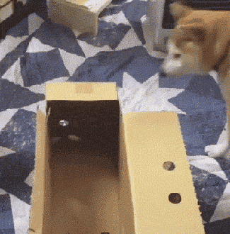 e5d96c1b532b7a2e4d23c1f3f6529182_342249_1574286062