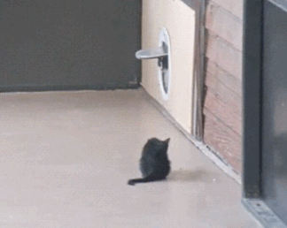 6F04E735-5832-4CB8-A82C-52067A879F6C