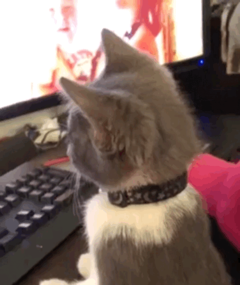 F924031F-8BB1-466C-A657-2BE7BC76AEC3