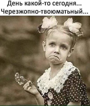 b3f32252e946a3cb52c56c9954e52048