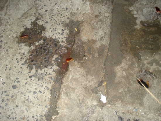 DSC02683