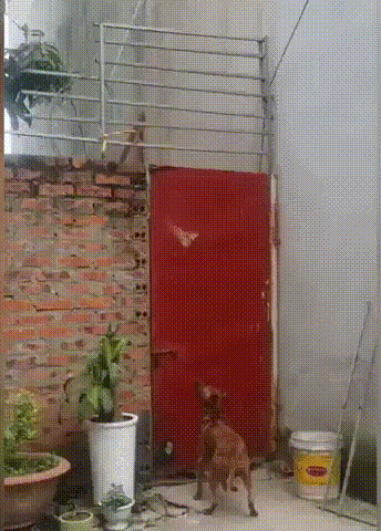 b89823ae600eca3a448c31b800bff0bc_273238_1574049843