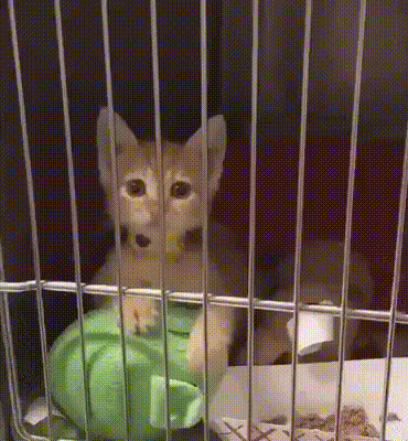 c71f745b6d0670ed3b11c9089dfd50a7_273238_1573623328