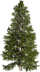 elka-vysokaya-naturalnaya-s-blestkami optima