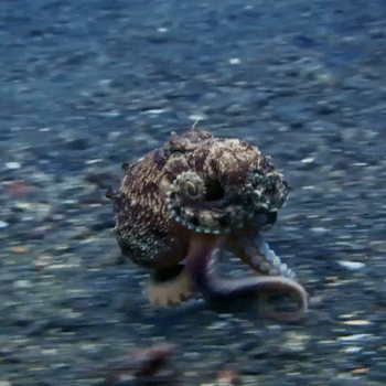 3b9e9bbc12eb01b648ef4aefbcd3228e_273238_1573535658