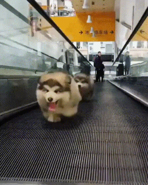 90b95b44ee06276524602a825f87dc38_273238_1572592997