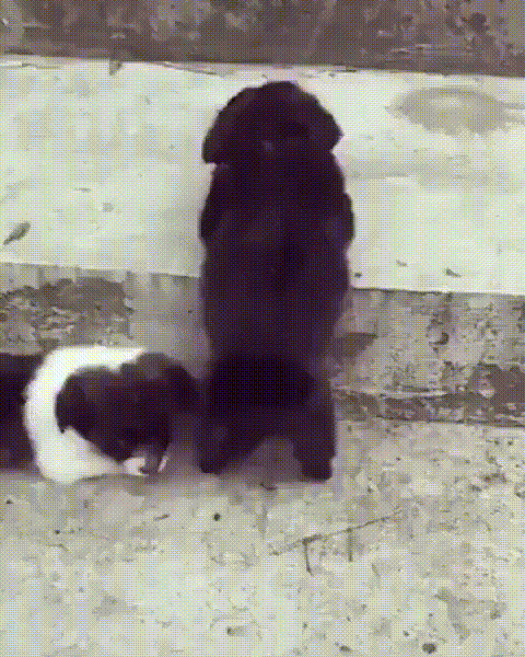 2043c199bc9eff76c6a84c9d3936e5ec_273238_1573104988