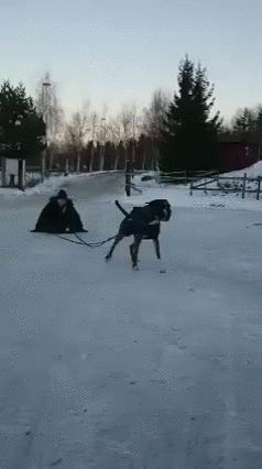 f5859239911c270b87a9b21703161bdd