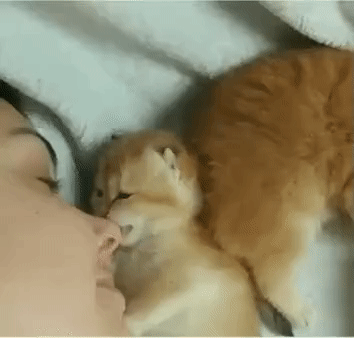 04d37b5cd784b481295dd7b1bc7bb128_273238_1573192010