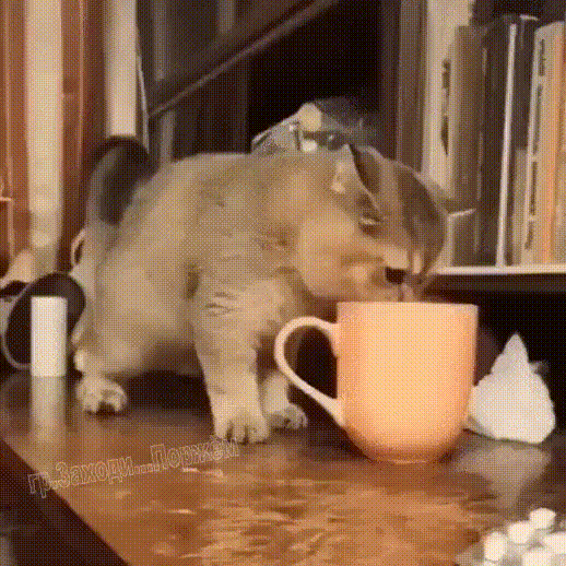 c7a0068394c36b011d395d098f9f29e2_273238_1573709845