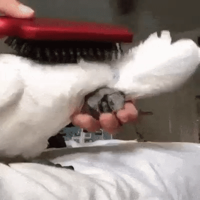 dd88ff6a622c8016b1427d681cf79fd7_273238_1572592949