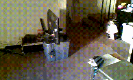 vk_com_public_animal_gif_0134